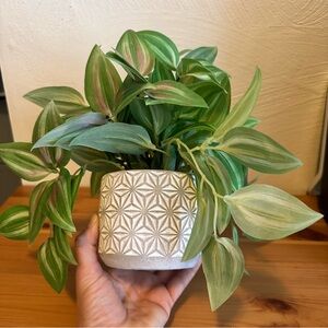 Kohl's Green and Pink Faux Plant in Geometric White Pot
